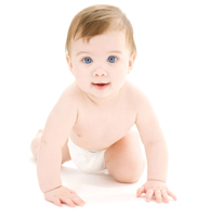 E套餐：零风险包成功方案（不选性别）