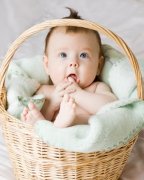 代妈的奶粉应该如何选择?