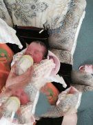 彻底丧失了做母亲的资格，没想到还能当上代妈